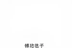 瓜单《第七版海报》封面，墙面上排成一列的七张海报